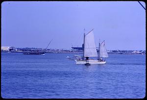 Sailboat, Boston Harbor