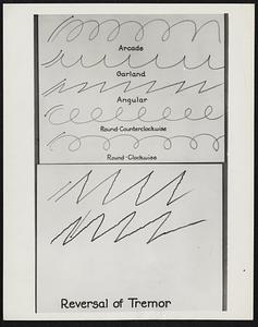 Handwriting Characteristics. All handwriting is based on principles illustrated in upper portion of this picture. The categories in which handwriting fall are -- arcade, garland, angular, round counterclockwise and round clockwise. Handwriting, according to Herald J. E. Gesell, examinator of questioned documents and fingerprint expert in the Veterans' Administration's Investigation service, is as much as part of an individual as his own flesh and blood. Forgery will "just black you in the face" says Mr. Gesell, in explaining for example, how reversal of tremors (illustrated below) are a dead give away. Genuine tremor is found in both the up and down strokes. This is known generally as the age tremor. And, there is a very decided distinction between it and the fraud tremor which is always misplaced.