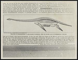 Skeleton of Muraenosaurus, a long-necked plesiosaur, from the Oxford clay of Peterborough, England