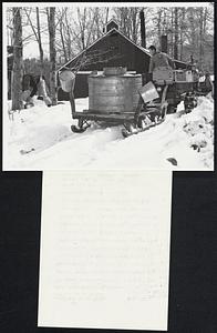 Maple Sugar Harvesting Time-- The Bosse brothers, Charles (left) and Dick driving tractor hauling pung, approach the 'Sugar House' on the farm of Charles Bacon at Jaffrey, New Hampshire with a load of maple sugar. Following tradition copied form the Indians, New England farmers find maple sugaring a profitable business in an otherwise slack season on the farm. About thirty gallons of the sweet liquid from the tree makes a gallon of syrup when boiled down and the market price this year is around six dollars a gallon.