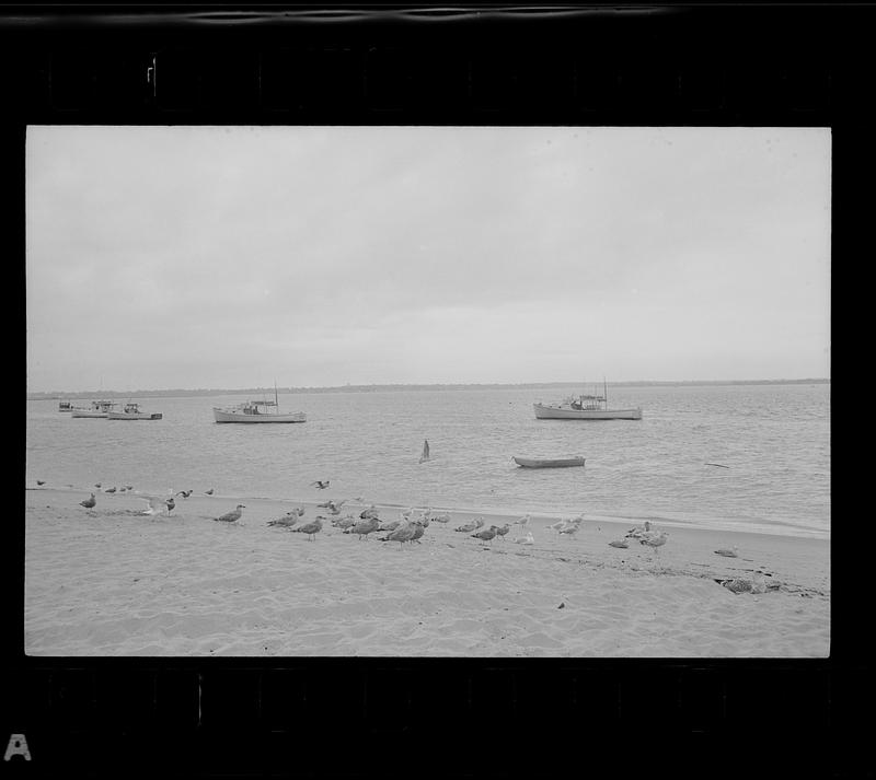 Plum Island fishing boats