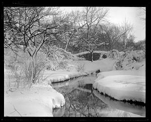 Snow scene