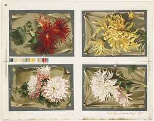 Four floral compositions on one sheet