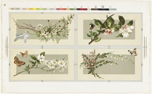 Four floral and insect compositions on one sheet
