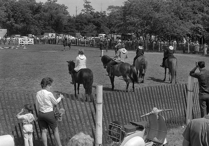 Horseshow, Dartmouth