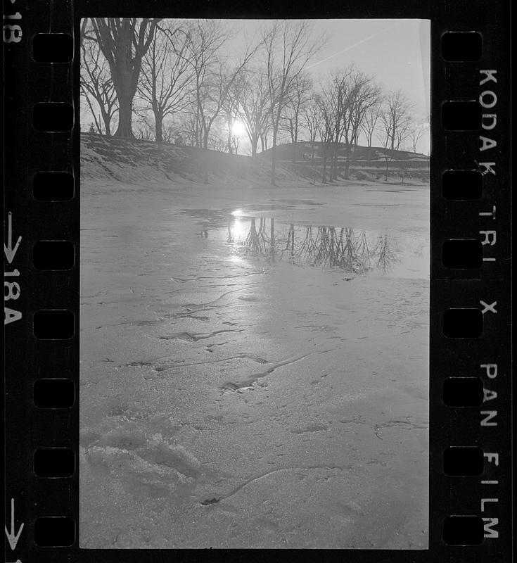 Ice on Bartlett Mall