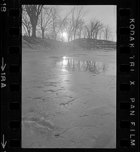 Ice on Bartlett Mall