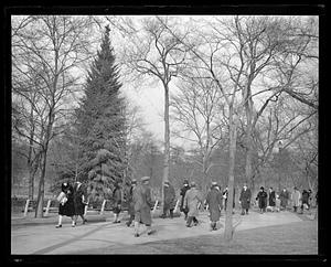 People walking down a path in a park
