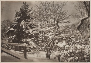 Photograph Album of the Newell Family of Newton, Massachusetts - Plimpton and Newell Residence, 87 Chestnut St. West Newton, Massachusetts -