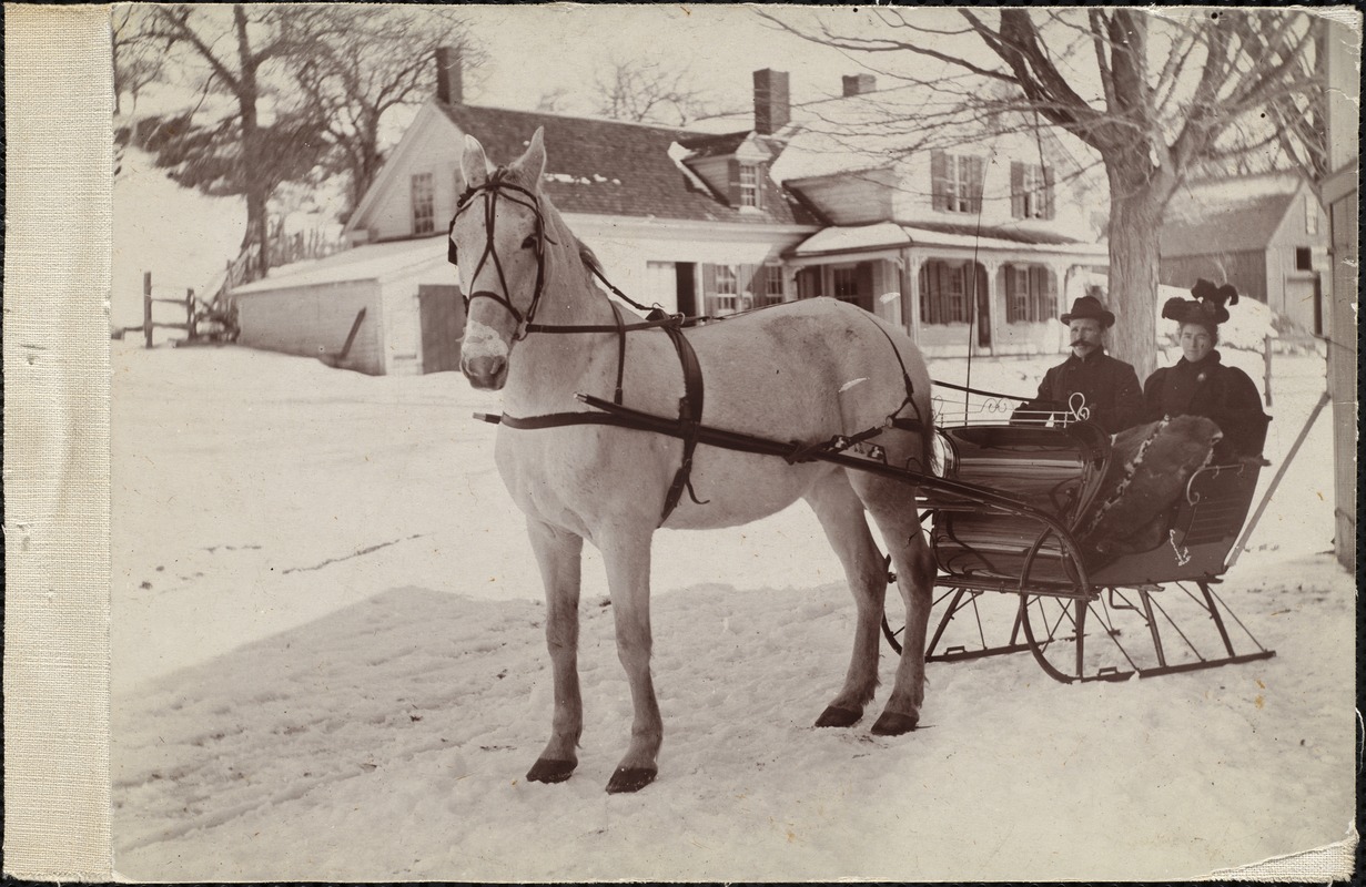 Couple in horse-drawn sleigh