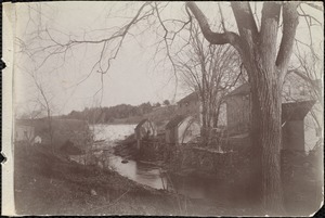 Houses along unidentified river, falls in background