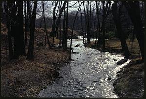 Route 140 Wrentham at Pendleton Road Eagle Brook, part of Charles River complex