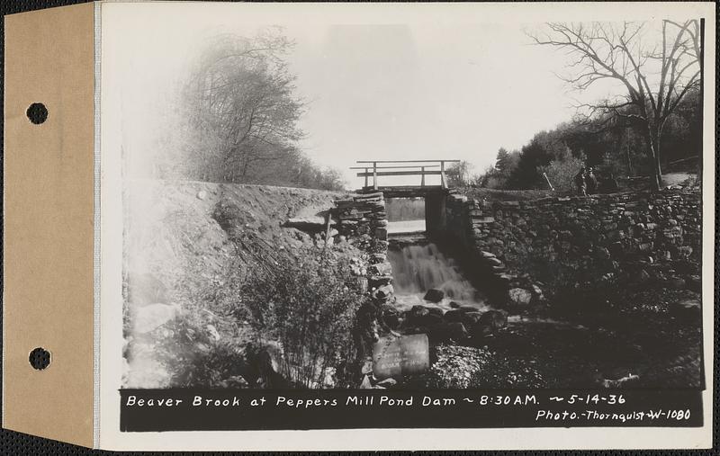 Beaver Brook at Pepper's mill pond dam, Ware, Mass., 830 AM, May 14