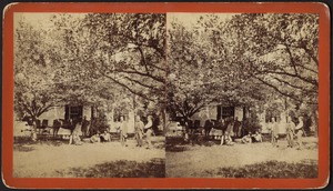 Unidentified men with horse and buggy. American views