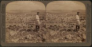 The Triasian Plain and Eleusis on the bay, E.S.E. from Mandra toward Athens, Greece