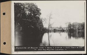 Shore line of Beaver Lake, Ware, Mass., Jun. 23, 1936