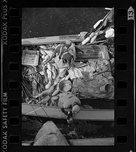 Fisherman's catch on boat, Monhegan Island, Maine