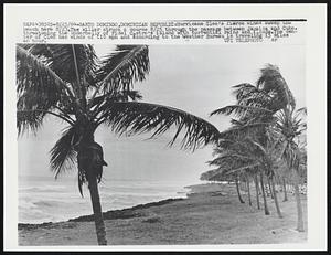 Hurricane Cleo's fierce winds sweep the beach here 8/23. The killer struck a course 8/25 through the passage between Jamaica and Cuba, threatening the underbelly of Fidel Castro's island with torrential rains and floods. The center of Cleo has winds of 110 mph and according to the Weather Bureau is traveling 15 miles an hour.