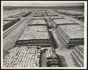 Peat Beds for Magnesium. These peat beds are on the grounds of the world's largest magnesium plant, Basic Magnesium, Inc., 15 miles from Las Vegas, Nev. Peat, one of the ingredients in the manufacture of the war-vital metal, is stored here until use. This peat comes from Canada, is highly inflammable and the beds are constantly watered as a precaution against fire. Located in a blistering southern Nevada desert, this gigantic plant already is producing magnesium and an equally vital chemical, liquid chlorine, on a huge scale.