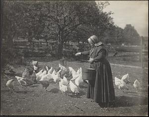 Woman feeding chickens