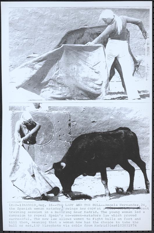 The lady and the bull
