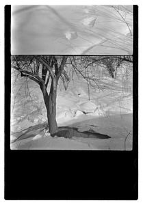Snow pictures - Fenway