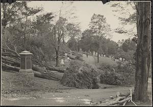 Af[ter t]he hurricane, Cedar [Gr]ove Cemetery