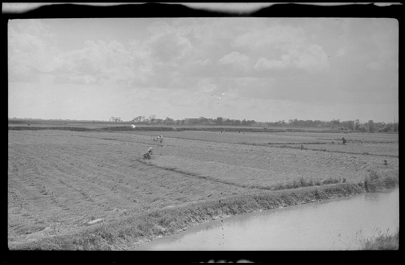 Field with workers