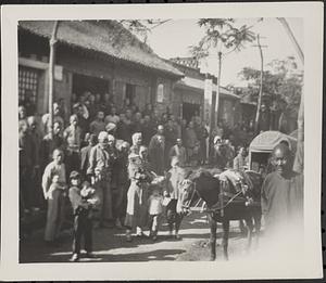 Group of people surrounding a horse and buggy