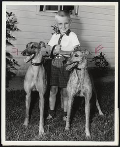 Friendly Speedsters...O.B.’s Career, left, and O.B.’s Melon, a pair of speed-stepping greyhounds in the kennel of the Oswald Brothers at the Taunton Dog Track, shown with Michael Paul Shannon of Norwich, Conn., a visitor at the course recently with his parents. Greyhound racing starts at Taunton, Monday, August 24th with the six-night Rehoboth Fair meeting which features “Free Night” on its opening. Taunton’s regular 50-night session gets underway Friday, September 4th.