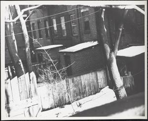 Backyards, Boston