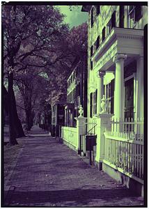 Salem, Chestnut Street, autumn