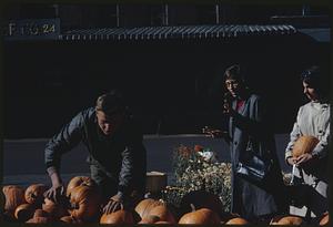Man examining pumpkins while two women look on, likely Boston