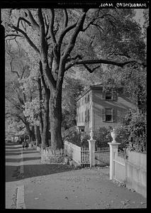 Pleasant Street with elms and white fences, Marblehead