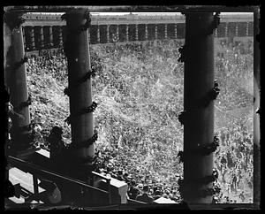A crowd inside a decorated stadium, possibly Harvard Stadium