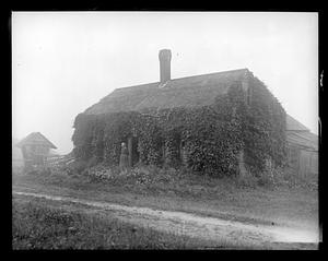 Ivy covered house