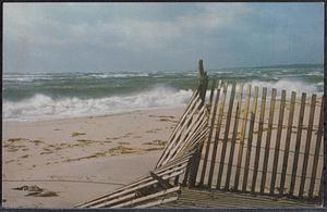 National Seashore, Cape Cod, Mass.