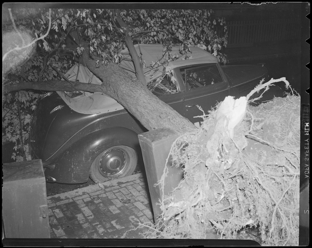 Tree crushes convertible, Hilliard St., Cambridge, Hurricane of 38