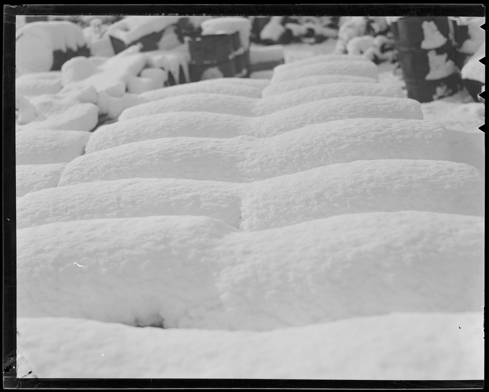 Snow covered barrels