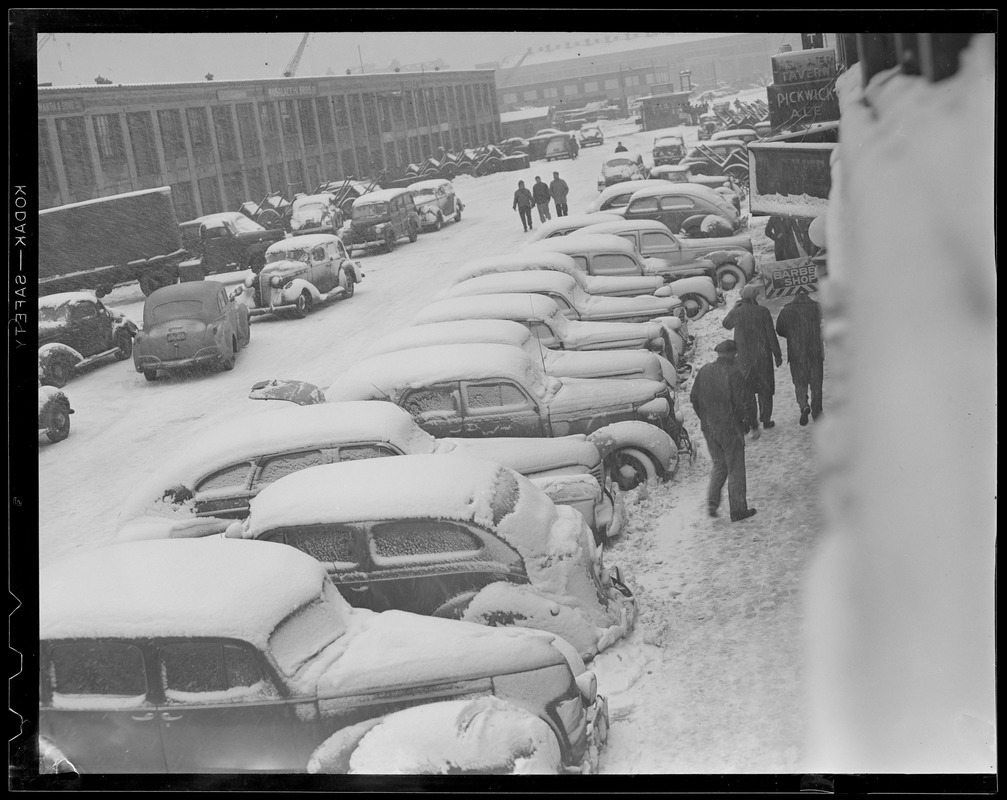 Snow covered cars