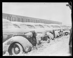 Snow covered cars