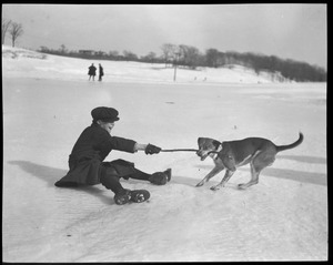 Boy and dog: Tug of war on ice
