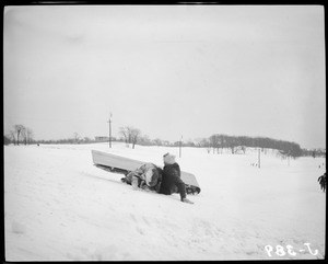 Kids sledding, Franklin Park
