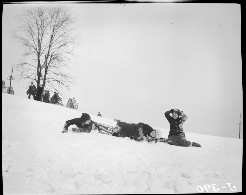 Kids sledding, Franklin Park - Digital Commonwealth