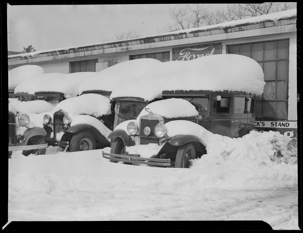 Snow covered cars