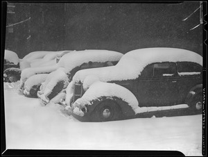 Snow covered cars