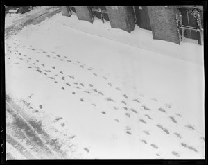 Footprints