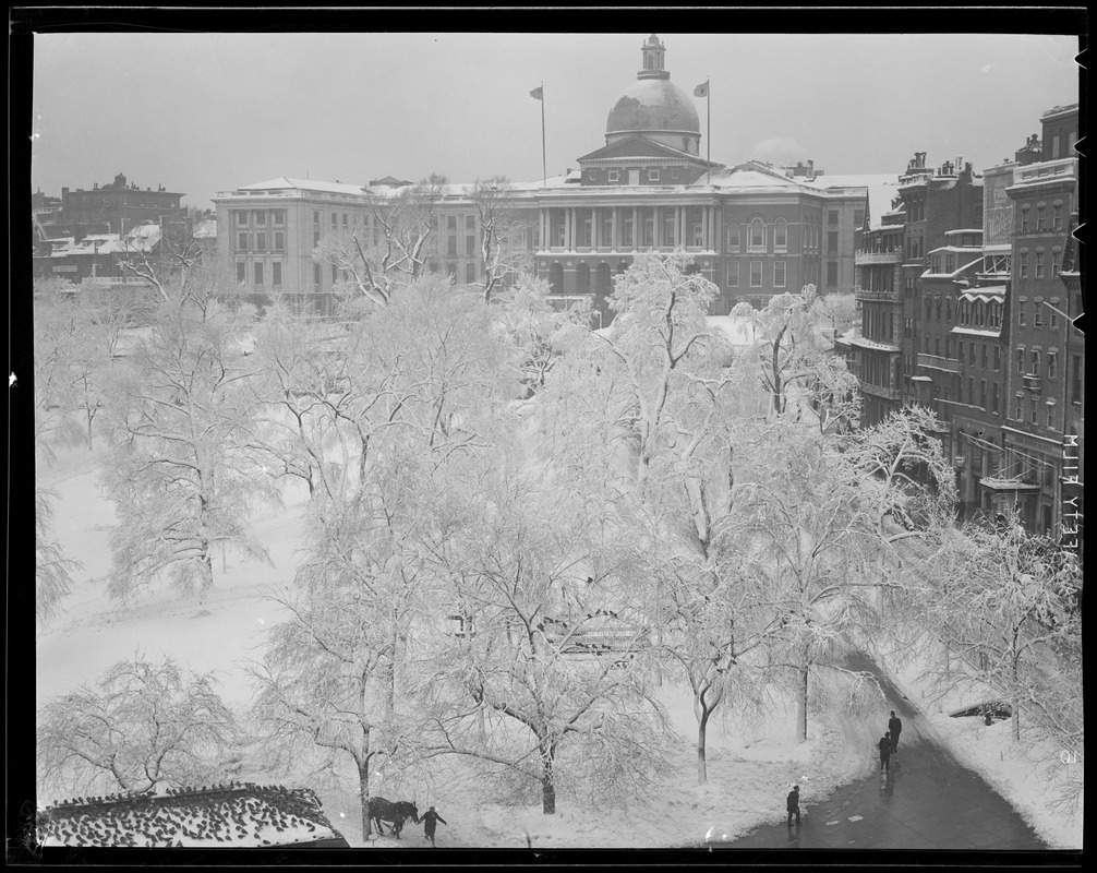 State House and Common in snow