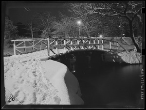 Wooden footbridge in snow