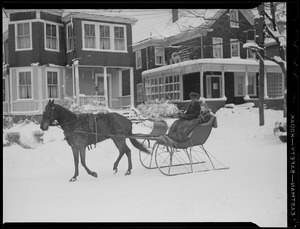 Horse-drawn sleigh in Boston neighborhood